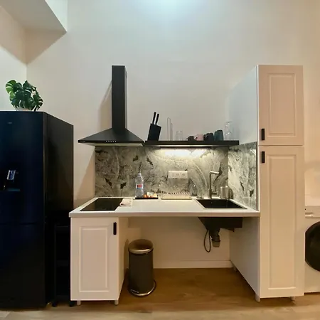 Duplex Of Arts & Science Apartmán Valencie